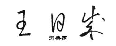 駱恆光王日成草書個性簽名怎么寫