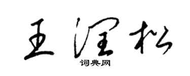 梁錦英王潤松草書個性簽名怎么寫