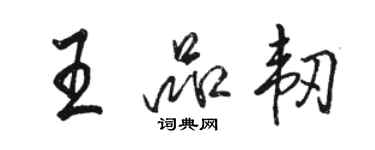 駱恆光王品韌行書個性簽名怎么寫