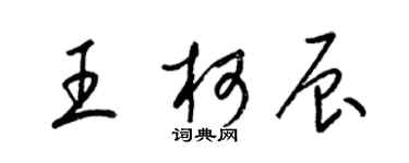 梁錦英王柯辰草書個性簽名怎么寫