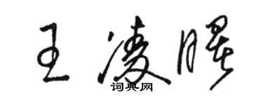 駱恆光王凌曙草書個性簽名怎么寫