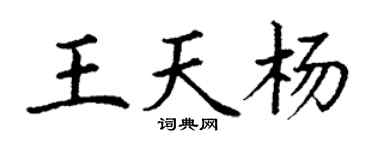 丁謙王天楊楷書個性簽名怎么寫