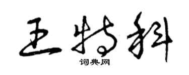 曾慶福王特科草書個性簽名怎么寫