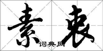 胡問遂素衷行書怎么寫