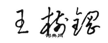 駱恆光王樹鋼草書個性簽名怎么寫