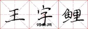 侯登峰王字鯉楷書怎么寫