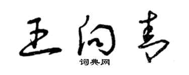 曾慶福王向青草書個性簽名怎么寫