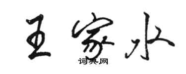 駱恆光王家水行書個性簽名怎么寫