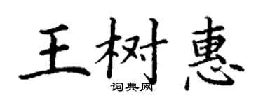丁謙王樹惠楷書個性簽名怎么寫