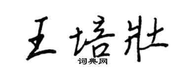 王正良王培壯行書個性簽名怎么寫