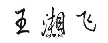駱恆光王湘飛行書個性簽名怎么寫