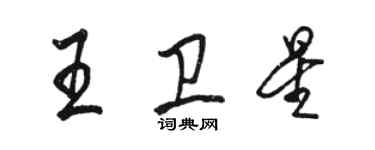 駱恆光王衛星行書個性簽名怎么寫