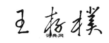 駱恆光王存朴草書個性簽名怎么寫