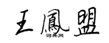 王正良王鳳盟行書個性簽名怎么寫