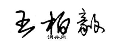 朱錫榮王柏毅草書個性簽名怎么寫