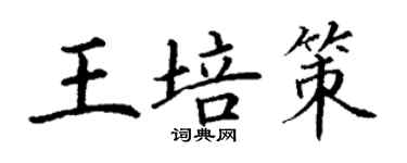 丁謙王培策楷書個性簽名怎么寫