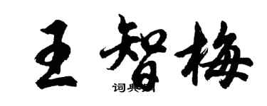 胡問遂王智梅行書個性簽名怎么寫