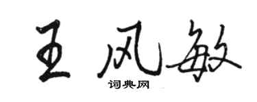 駱恆光王風敏行書個性簽名怎么寫