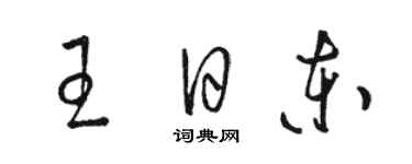 駱恆光王日東草書個性簽名怎么寫