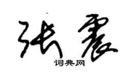 朱錫榮張震草書個性簽名怎么寫