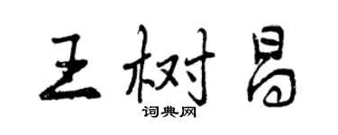 曾慶福王樹昌行書個性簽名怎么寫