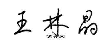 梁錦英王林晶草書個性簽名怎么寫