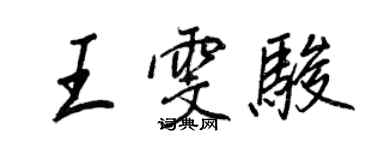 王正良王雯駿行書個性簽名怎么寫