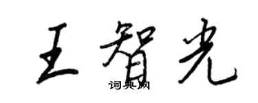 王正良王智光行書個性簽名怎么寫