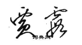 駱恆光賈霞草書個性簽名怎么寫