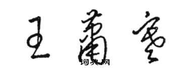 駱恆光王蕭寒草書個性簽名怎么寫