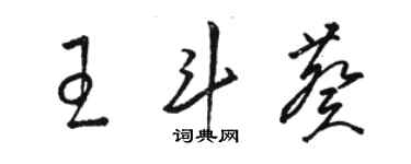 駱恆光王斗葵草書個性簽名怎么寫