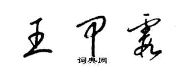 梁錦英王甲霞草書個性簽名怎么寫