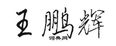 駱恆光王鵬輝行書個性簽名怎么寫