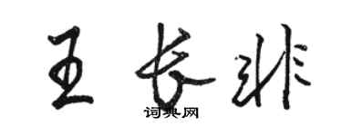 駱恆光王長非行書個性簽名怎么寫