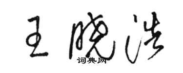 駱恆光王曉浩草書個性簽名怎么寫