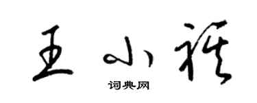 梁錦英王小祺草書個性簽名怎么寫