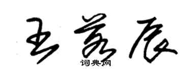 朱錫榮王若辰草書個性簽名怎么寫
