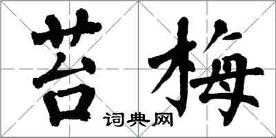 翁闓運苔梅楷書怎么寫