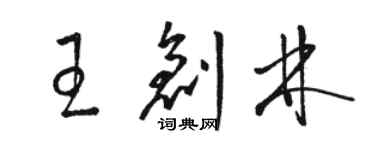 駱恆光王創林草書個性簽名怎么寫