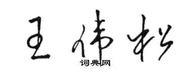 駱恆光王偉松草書個性簽名怎么寫