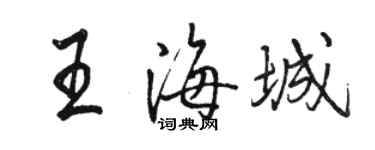 駱恆光王海城行書個性簽名怎么寫