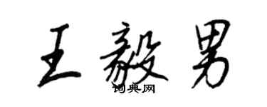 王正良王毅男行書個性簽名怎么寫