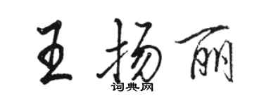 駱恆光王揚麗行書個性簽名怎么寫
