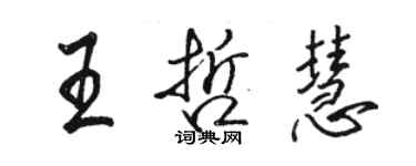 駱恆光王哲慧行書個性簽名怎么寫