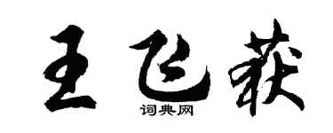 胡問遂王飛獲行書個性簽名怎么寫