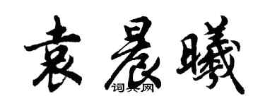 胡問遂袁晨曦行書個性簽名怎么寫