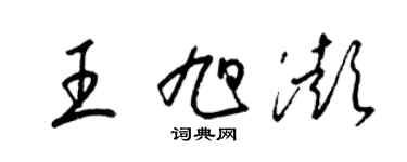 梁錦英王旭澎草書個性簽名怎么寫