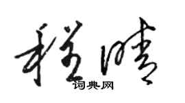 駱恆光程晴草書個性簽名怎么寫