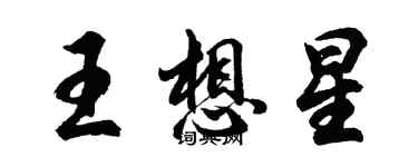 胡問遂王想星行書個性簽名怎么寫