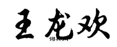 胡問遂王龍歡行書個性簽名怎么寫